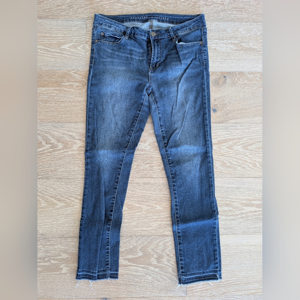 Articles of Society Medium Wash Skinny Jeans